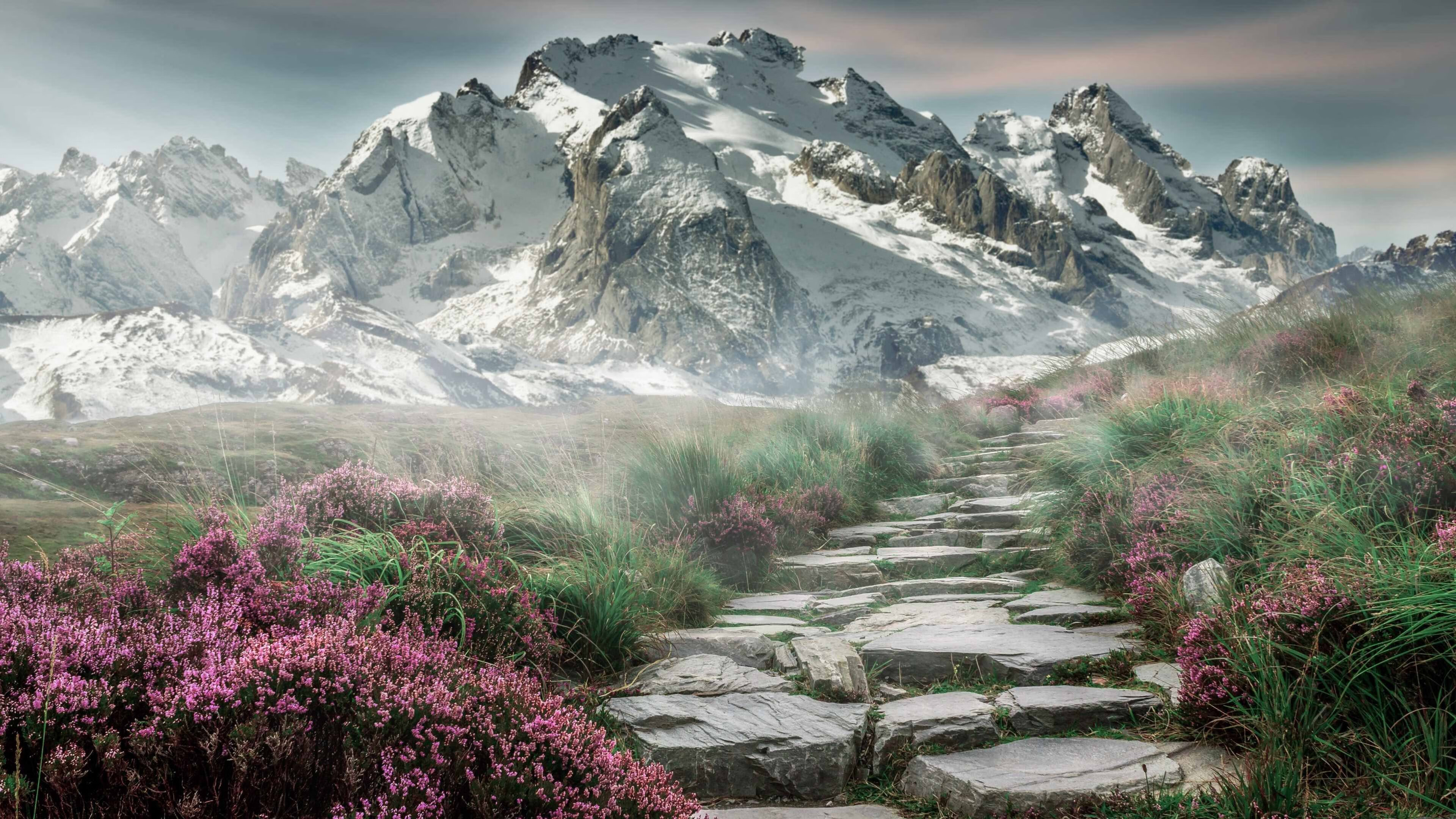 AYX官网-_掘金攻守平衡，战绩持续攀升_，掘金强不强