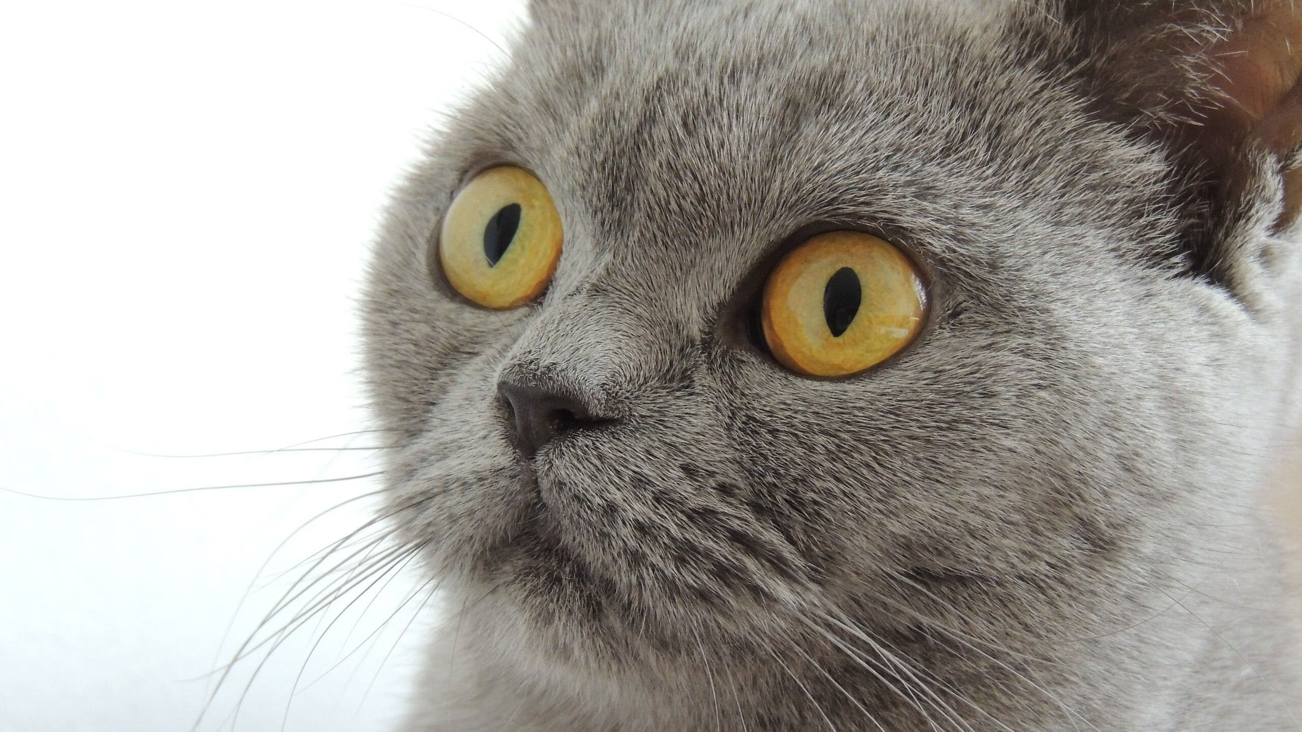 爱游戏ayx-_运动科技创新：可穿戴设备引领新风潮_，科技运动服