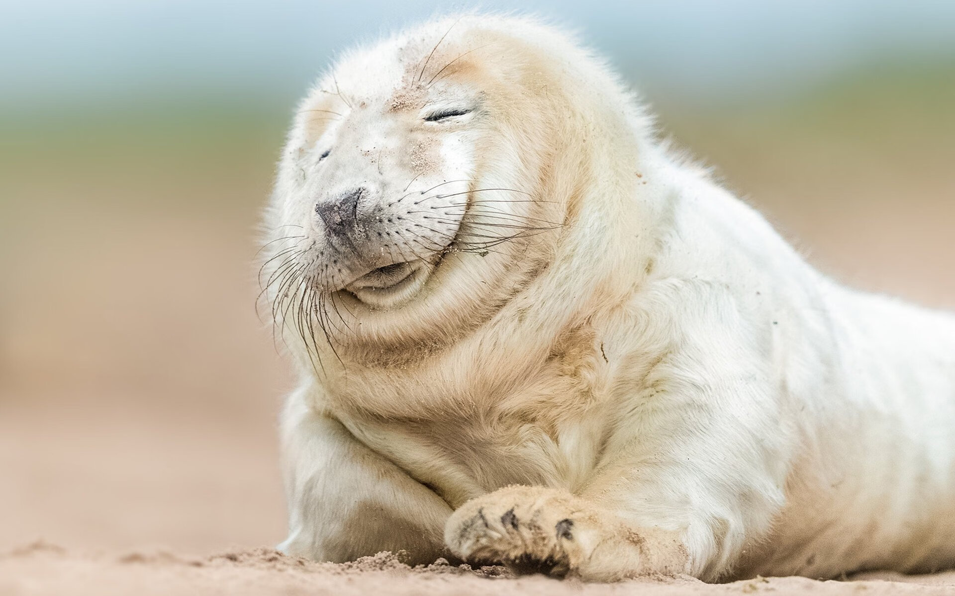 史上最大“黑马荣耀”：从无名小将到巨星巅峰，最大的黑马